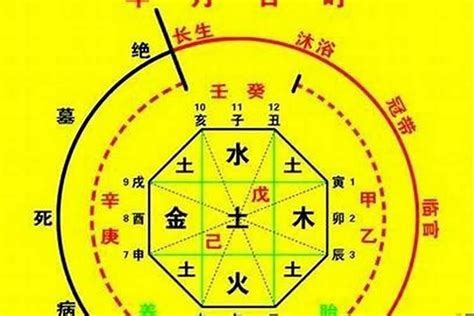 喜用神水的人特色|八字入门基础 第六篇 如何判断八字喜用神